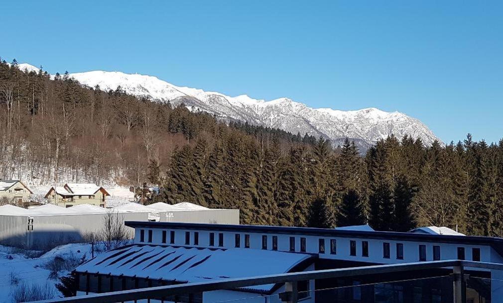 Studio Mountain View Sinaia Exteriör bild