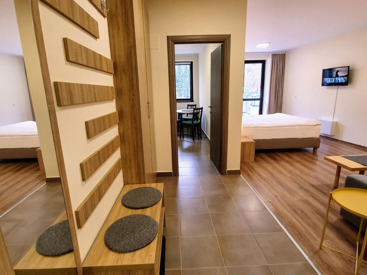 Studio Mountain View Sinaia Exteriör bild