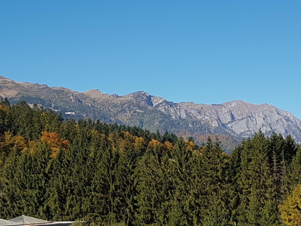 Studio Mountain View Sinaia Exteriör bild